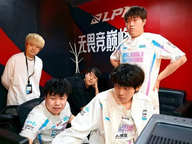 森林狼的安 森林狼的安