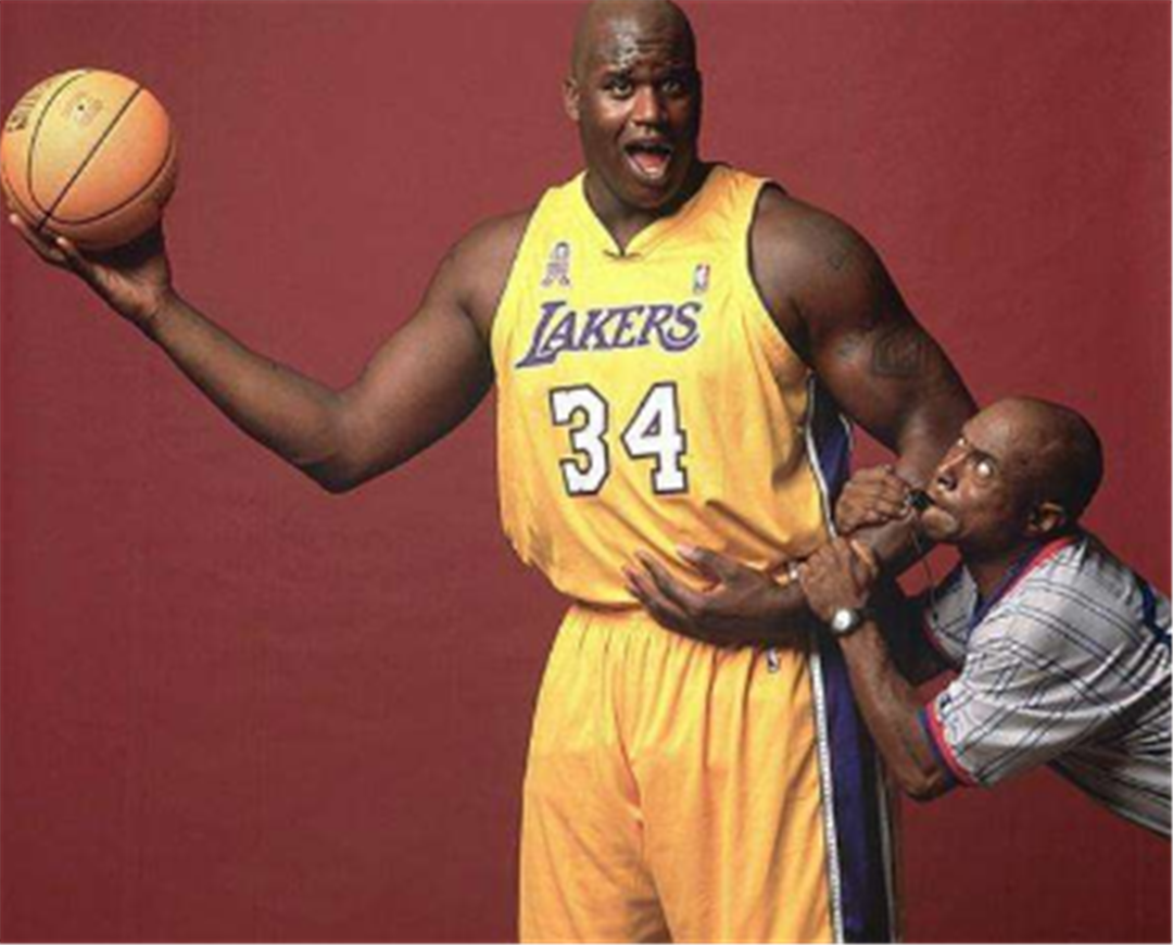 性力量训练 性力量训练